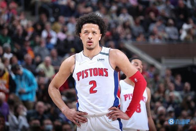 网友的点赞 网友的点赞