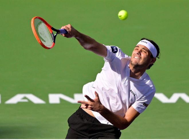 高效表现 高效表现