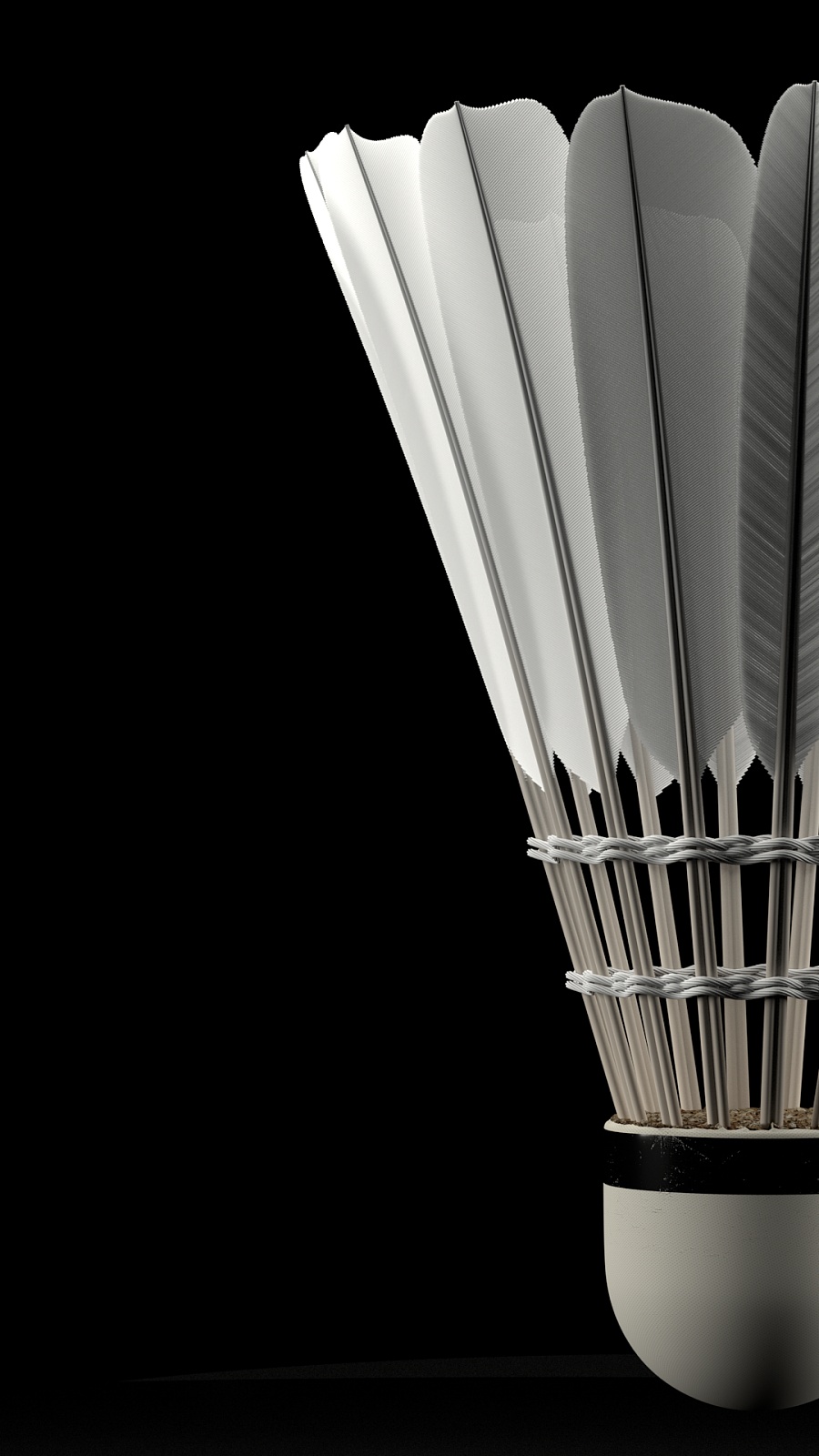 这次亦不例 这次亦不例