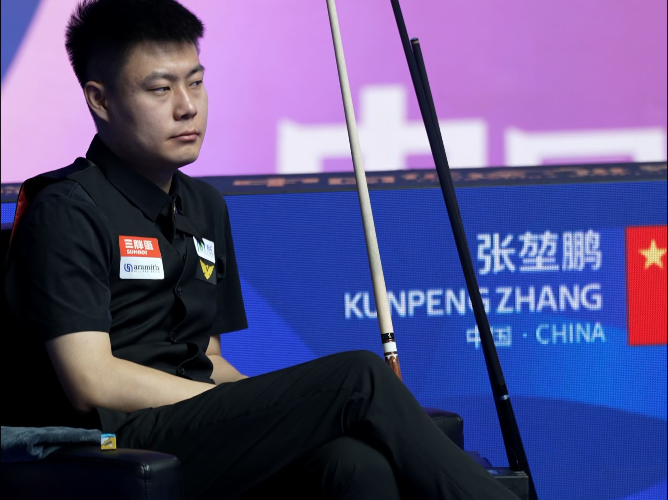 审视和展望 审视和展望